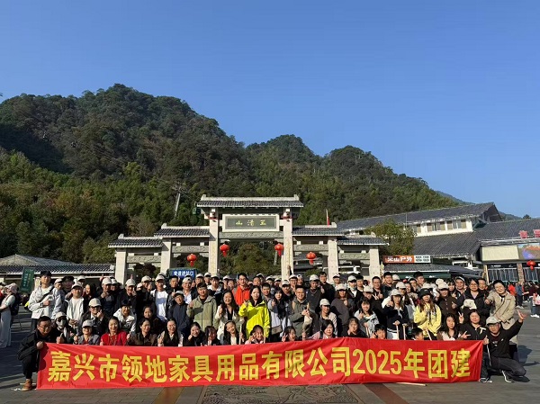 بناء الفريق